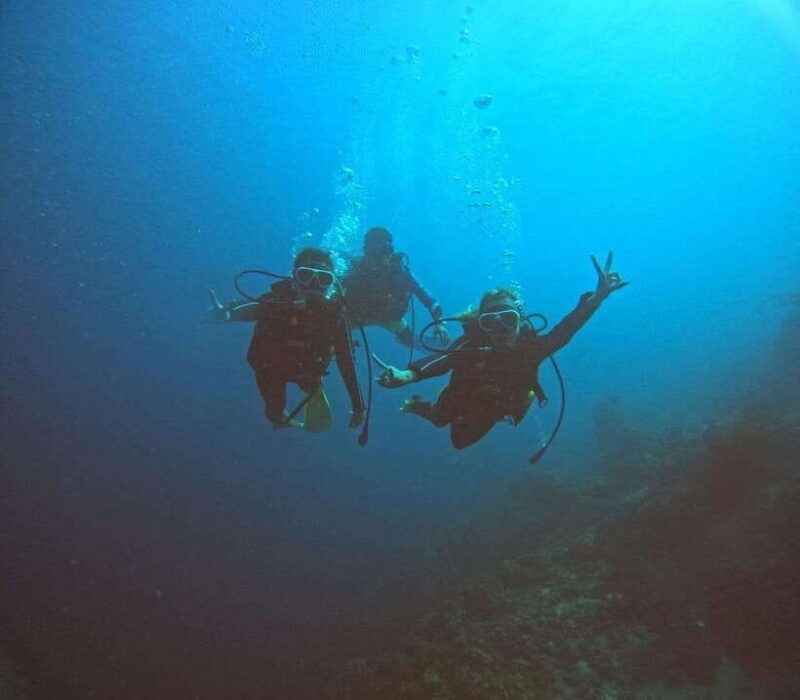 Cebu: Beach Scuba Diving Experience - Introduction