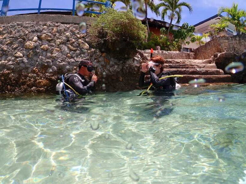 Cebu: Beach Scuba Diving Experience - Who Will Love This Experience?