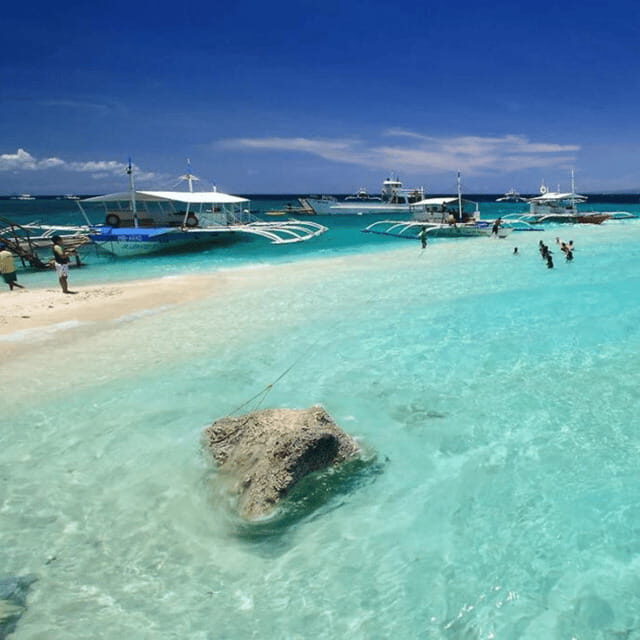 Cebu BEST: Sumilon, Whaleshark and Turtle Snorkeling Tour - Detailed Review of the Cebu BEST Tour