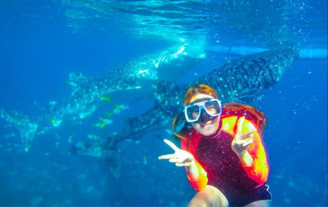 Cebu: Boat Day Trip With Whale Shark Swimming and Lunch - Duration and Starting Times