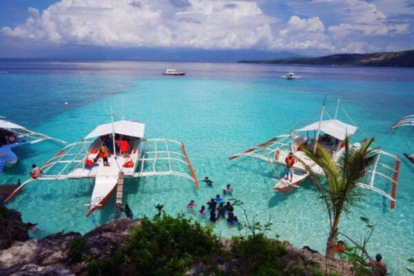 Cebu: Boat Day Trip With Whale Shark Swimming and Lunch - Experience Highlights