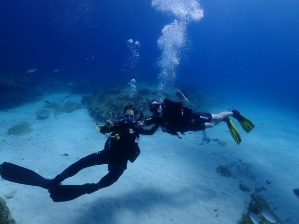 Cebu: Boat Diving Two Dive Tour in Olango Island - Common Questions