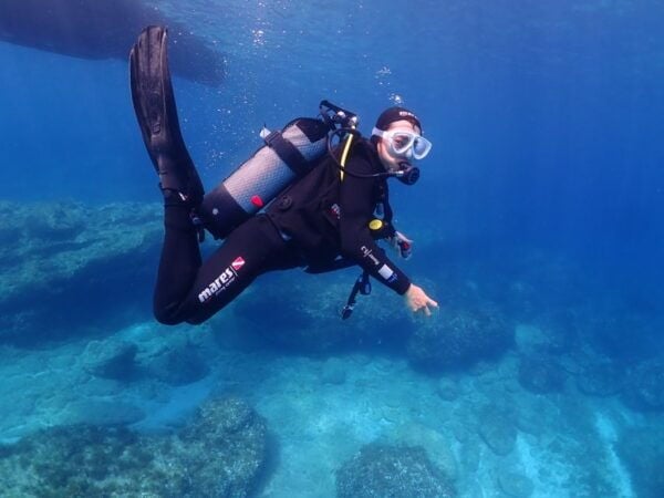 Cebu: Boat Diving Two Dive Tour in Olango Island - The Sum Up
