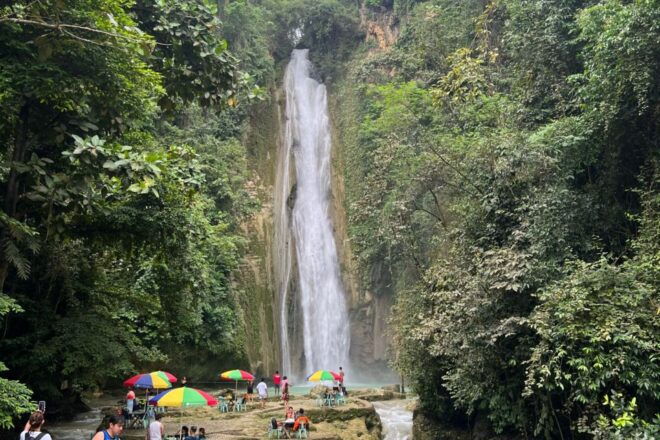 Cebu: Canyoneering Kawasan Falls, Mantayupan Fall & Moalboal - Inclusions