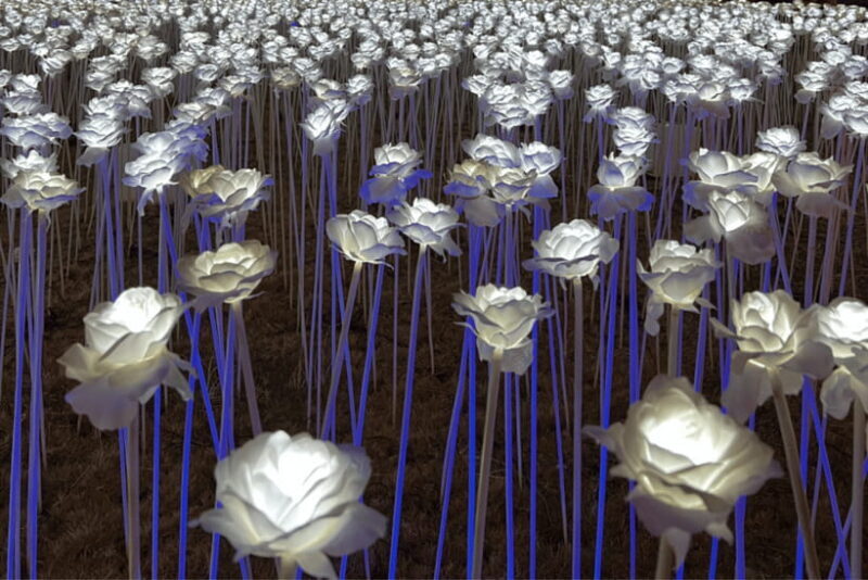 Cebu: Cebu City and Mactan Island Tour - Cebu: Cebu City and Mactan Island Tour