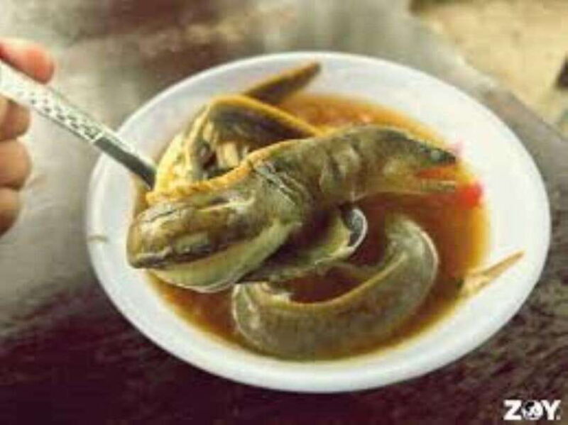 Cebu City: A Food Adventure Through City Streets - Final Thoughts: Is This Tour for You?