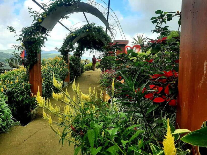 Cebu City: Cultural Heritage Tour & 10,000 Roses Visit - An In-Depth Look at the Full-Day Cebu Heritage & 10,000 Roses Tour