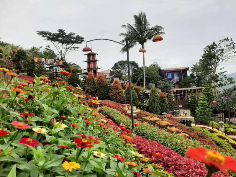 Cebu City: Cultural Heritage Tour & 10,000 Roses Visit - Who Would Love This Tour?