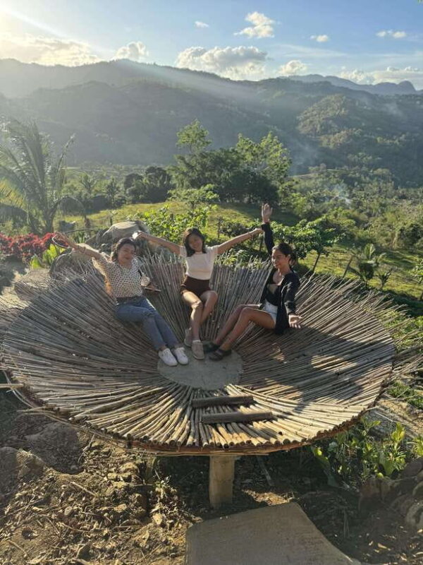 Cebu: City Highlights with Sirao Flower Garden Visit - Who is this tour best suited for?  