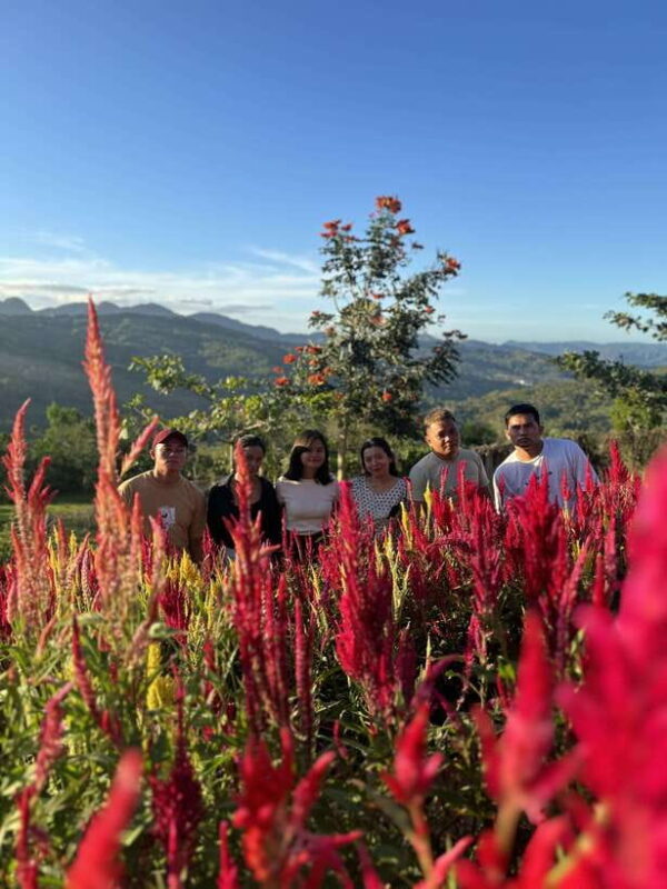 Cebu: City Highlights with Sirao Flower Garden Visit - Good To Know