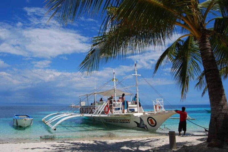 Cebu City: Malapascua Island Day Tour with Snorkeling - Who This Tour Is Best For