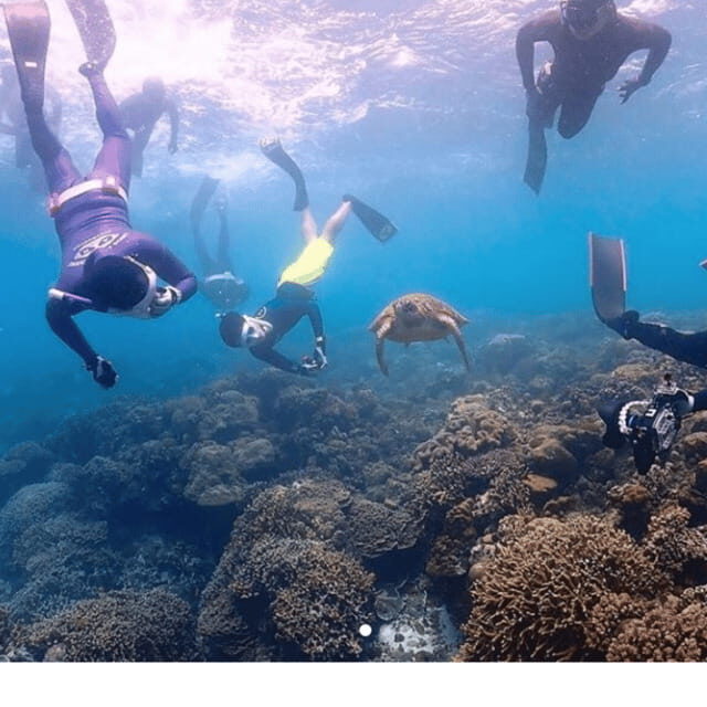 Cebu city to Pescador Island & Kawasan Canyoneering Tour - Exploring Cebu’s Natural Marvels: Pescador Island & Kawasan Canyoneering Tour