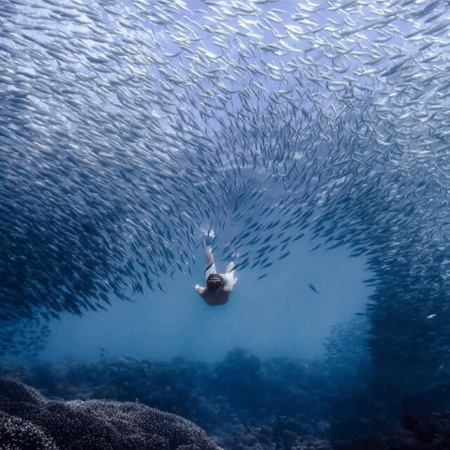 Cebu city to Pescador Island & Kawasan Canyoneering Tour - Good To Know