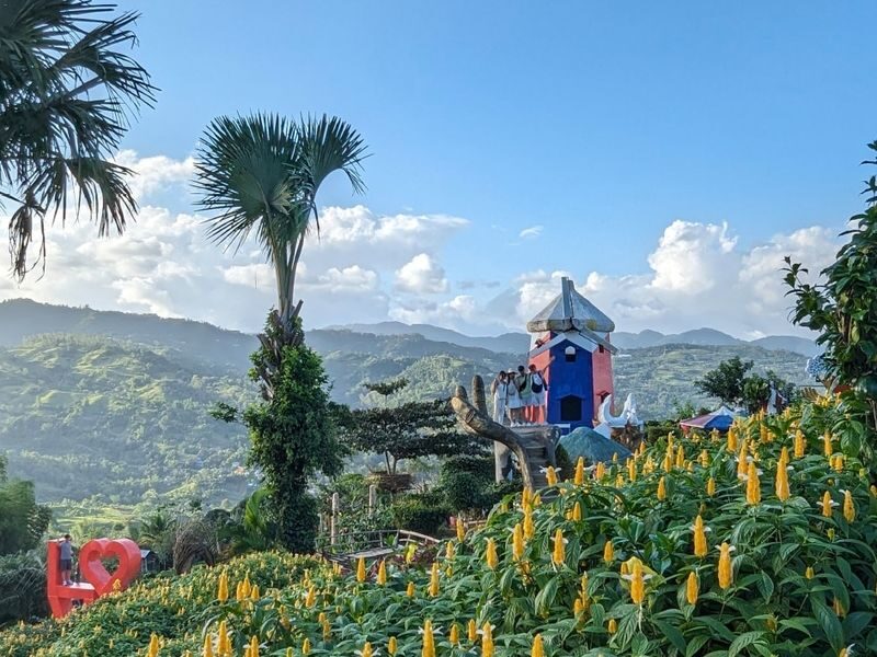 Cebu City with Sirao Garden Half Day Historical Tour - At a glance: flowers, faith and Cebu’s old fort