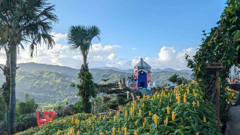 Cebu City with Sirao Garden Half Day Tour - Good To Know