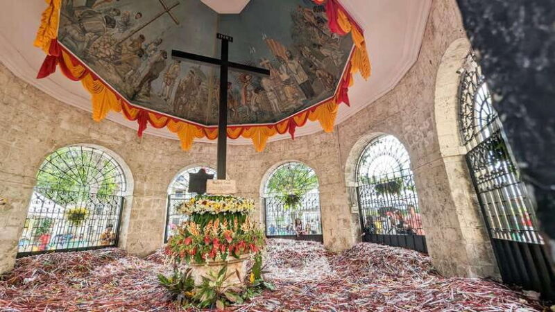 Cebu City with Sirao Garden Half Day Tour - Who Will Love This Tour?