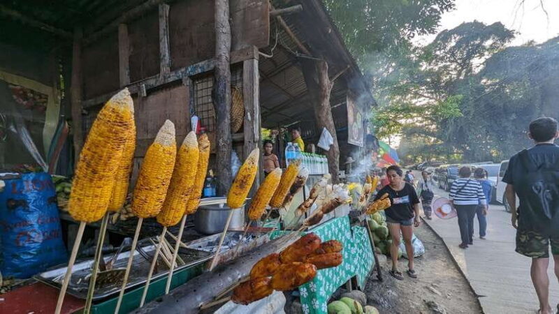 Cebu City with Sirao Garden Half Day Tour - The Sum Up