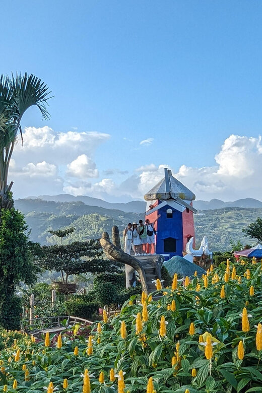 Cebu City with Sirao Garden Half Day Tour - Frequently Asked Questions (FAQs)