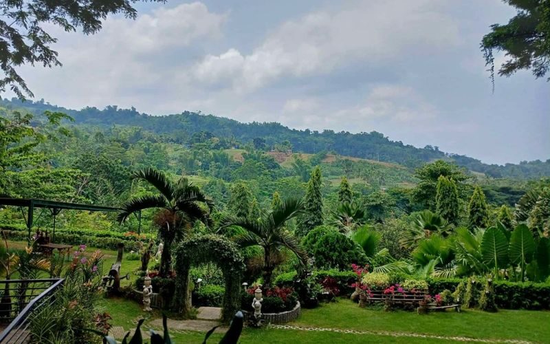 Cebu Farm Life Tour - At a glance: what makes this farm day different