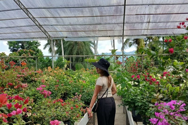 Cebu Farm Life Tour - From Cebu City to the farms