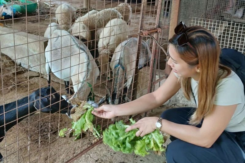 Cebu Farm Life Tour - Booms & Greens Garden: a quieter change of pace