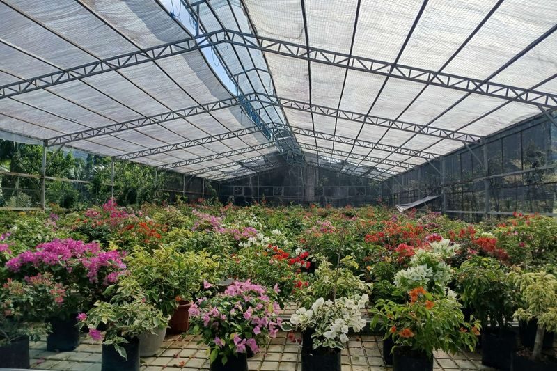 Cebu Farm Life Tour - Lunch and the value of a full day