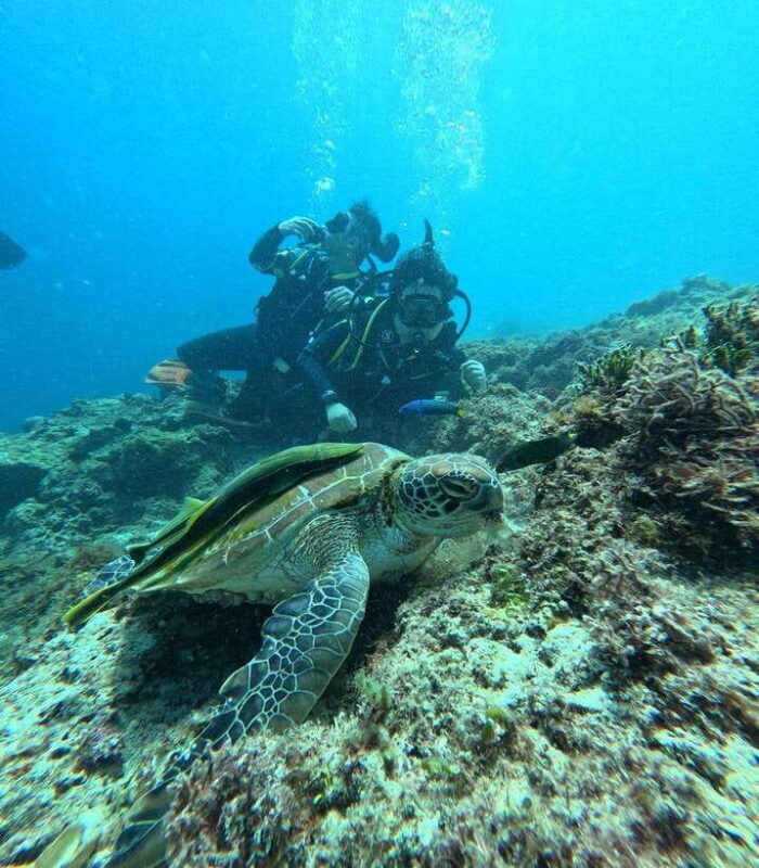 CEBU: Get Two level Certification in one trip (4N5D) - FAQ