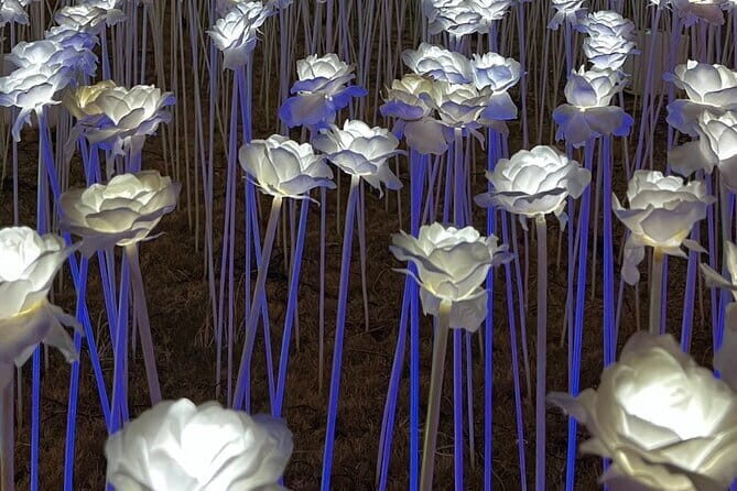 Cebu Group Tour: Best Cebu City Tour - Final Thoughts