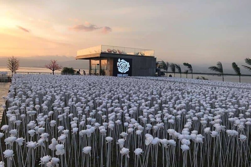 Cebu Half-Day Tour with 10,000 Roses - Should you book it?