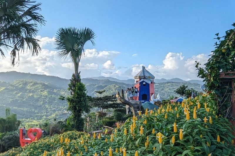 Cebu Half-Day Tour with Panoramic Views - Two Cebu viewpoints, one long afternoon