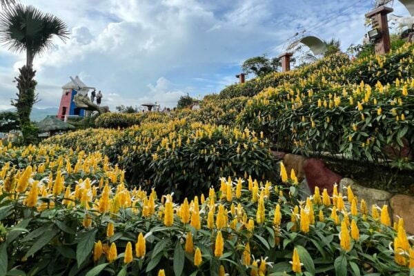 Cebu: Highlands Guided Tour With Hotel Pickup - Common Questions