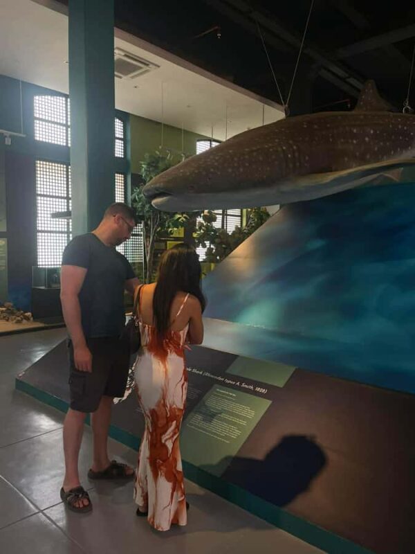 CEBU HIGHLIGHTS: Historic and Highlands Private Tour - Transportation & Group Size