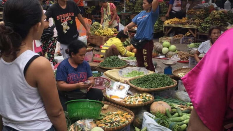 Cebu: Igutan Cave and Waterfalls Hike with Market Visit - Why This Tour Is Worth Considering