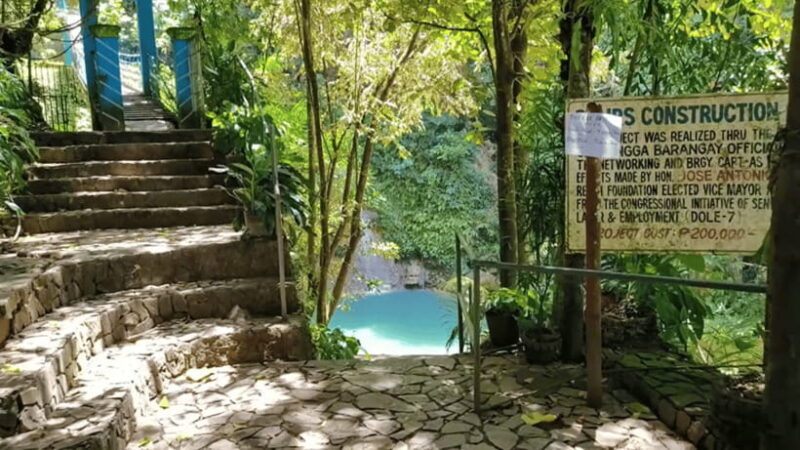 Cebu: Inambakan, Kawasan, and Mantayupan Falls Day Trip - Who Is This Tour Best For?