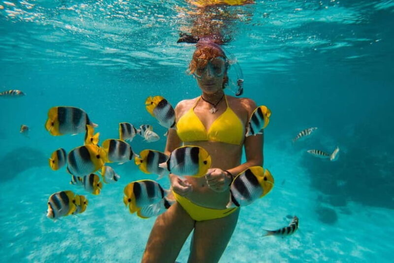 Cebu: Island Hopping 3 Islands + Pandanon Island + Lunch - Good To Know