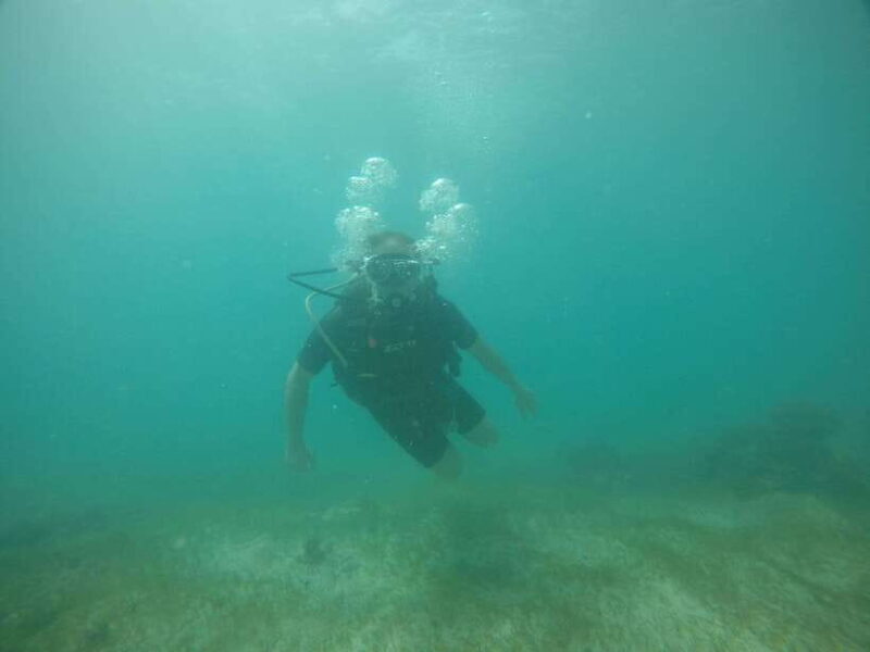 Cebu: Kanlahing Peak Sea of Clouds & Polpog-Nonok Stream - Good To Know