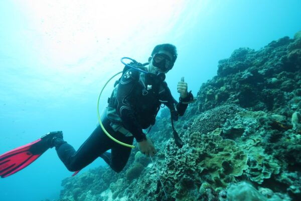 Cebu: Mactan Island Beach Diving ( for Who Has License ) - Common Questions