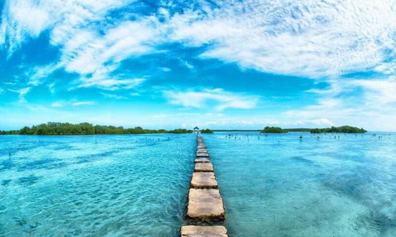 Cebu Mactan Island Hopping + Picnic Lunch (Private Tour) - Who Is This Tour Best For?