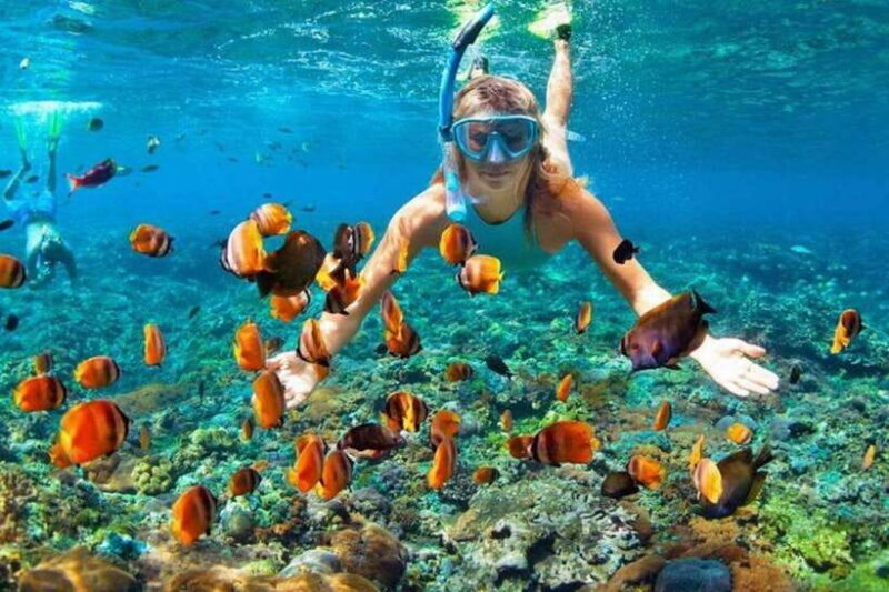 Cebu: Mactan Island Hopping Tour with Snorkeling - A Detailed Look at the Mactan Island Hopping Tour