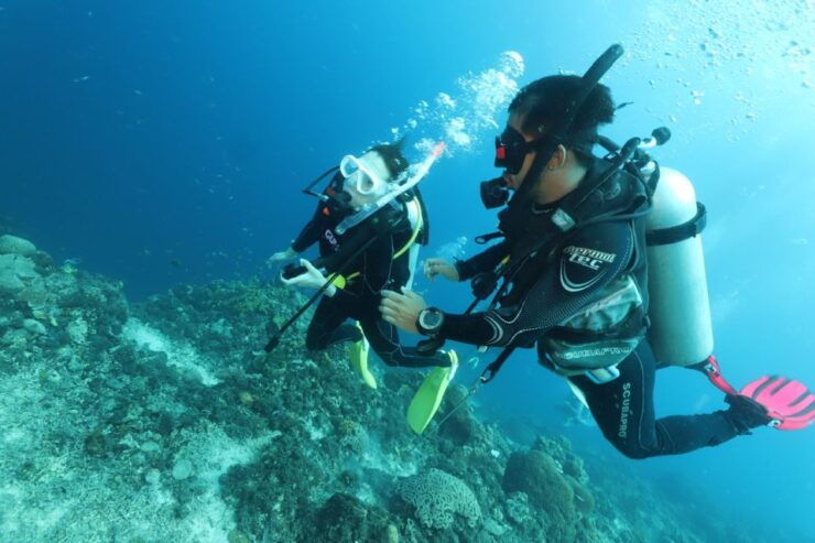 Cebu: Mactan Island Scuba Diving Experience Beach Entry - Diving Experience Description