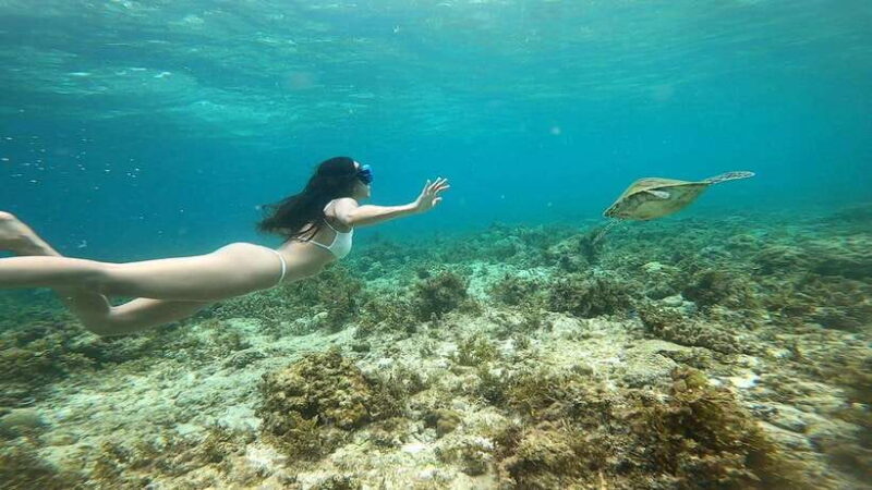 Cebu Moalboal Adventure Combo: Snorkel & Canyoneering +Lunch - Good To Know  