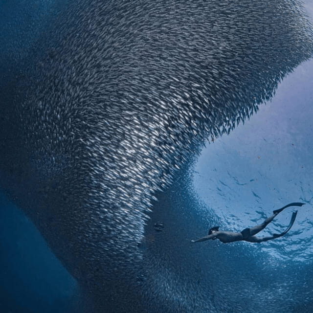 Cebu: Moalboal - Kawasan Day Tour with Badian Canyoneering - Practical Tips for Your Day