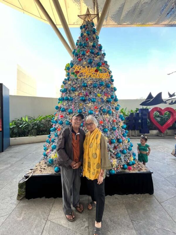 Cebu: Moalboal Sardine Run and Snorkeling Tour - Why is this tour popular?