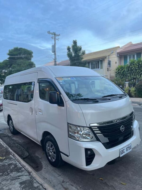 Cebu: Moalboal Sardine Run and Snorkeling Tour - What travelers love about this tour