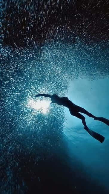 Cebu: Moalboal Sardine Run & Kawasan Falls Canyoneering - Good To Know