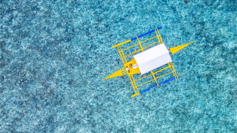 Cebu: Moalboal Sardine Run, Turtles & Oslob Whale Shark Tour - FAQs