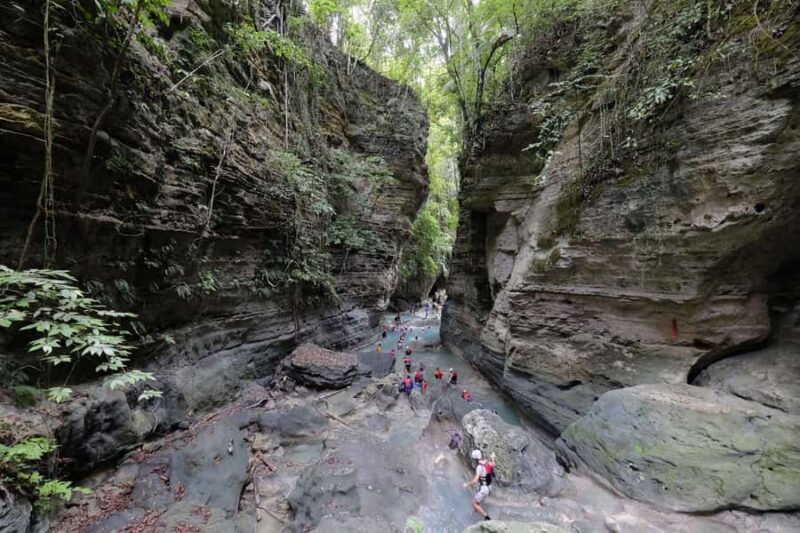 Cebu: Moalboal Sardines Run & Kawasan Falls Canyoneering - Final Thoughts