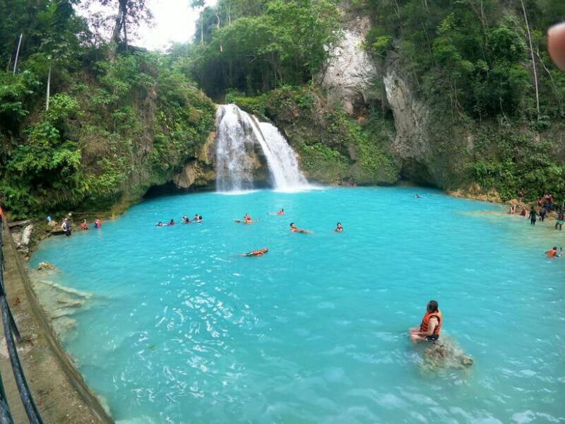 Cebu: Moalboal Sardines Run Snorkel & Kawasan Canyoneering - Exploring the Snorkeling Experience in Moalboal