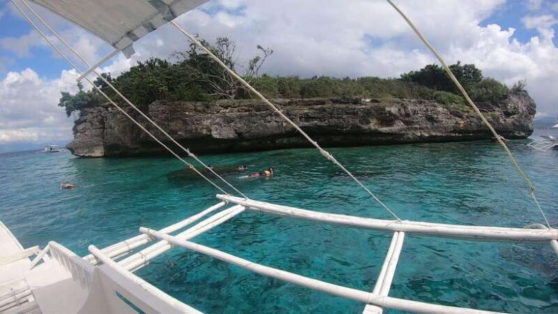 Cebu: Moalboal Scuba Diving, Sardines Run & Pescador Snorkel - Authentic Experiences from Reviewers