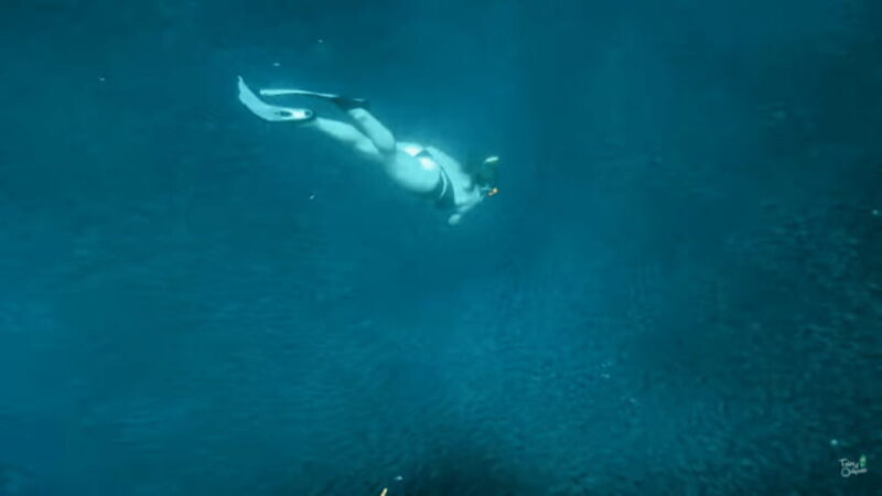 Cebu: Moalboal Snorkeling & Kawasan Canyoneering Adventure - The Return and Reflection